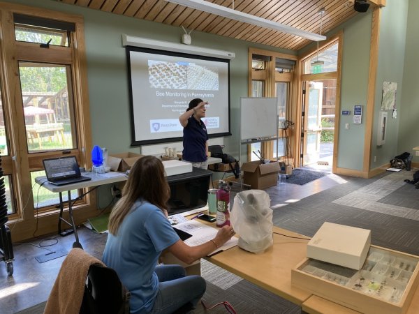 Penn State Extension Master Gardeners support bee-monitoring project in Pa. | Penn State University