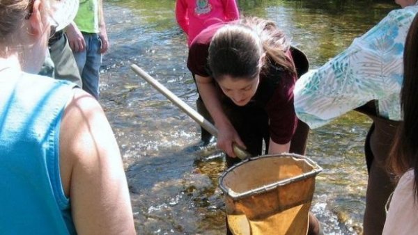 Penn State Extension offers watershed training for citizens around the state | Penn State University