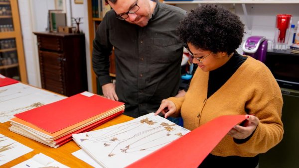 Penn State herbarium selected to participate in collections assessment program | Penn State University