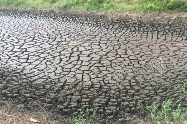 An acid mine drainage sludge site in central Pennsylvania