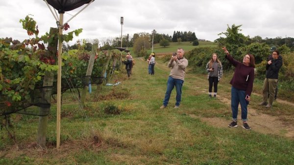 Penn State scientists educate national grape organization on spotted lanternfly | Penn State University