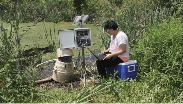 Presence, persistence of estrogens in vernal pools an emerging concern | Penn State University