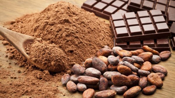 Processing, like fermentation and roasting, doesn’t cut cocoa’s health benefits | Penn State University
