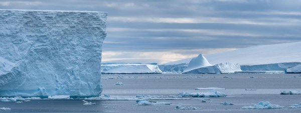 The race to understand polar ice sheets