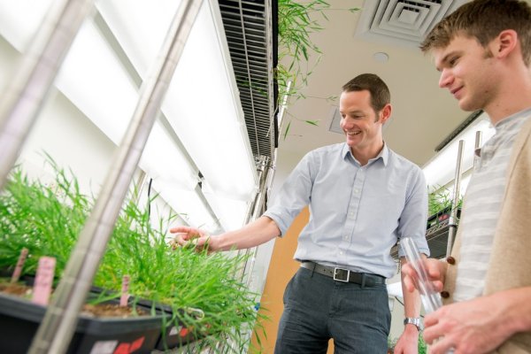 "Fast Farming" Biology professor and undergraduate research student examine Brachypodium plants in grow room.