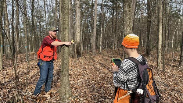 Research to help private forest owners manage woodlands for ecosystem services | Penn State University