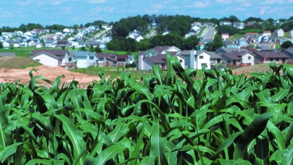 Researchers aim to create thriving agricultural systems in urbanizing landscapes | Penn State University