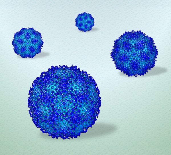 Researchers film human viruses in liquid droplets at near-atomic detail | Penn State University