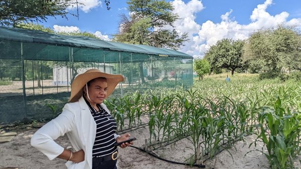 Researchers get $2M NSF grant to develop Africa water-food-energy network | Penn State University