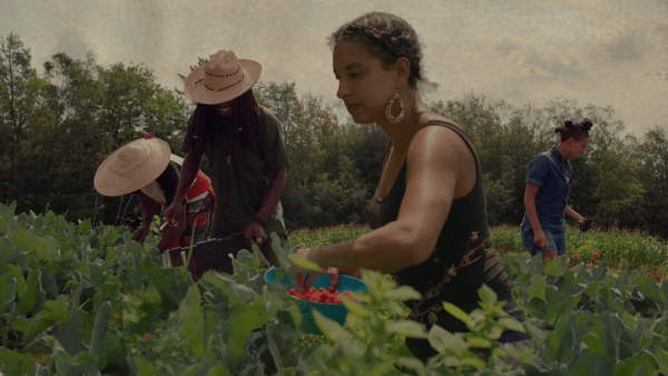 Ross Student Farm hosts viewing of documentary 'Farming While Black' on March 26 | Penn State University