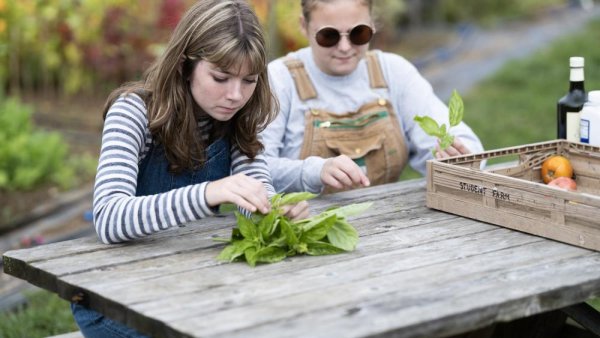Ross Student Farm welcomes all for Earth Day celebratory event Apr. 20 | Penn State University