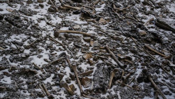 The Secrets of Skeleton Lake | Penn State University