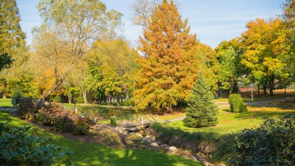 Seven Penn State campuses unite to launch Commonwealth Arboreta Network | Penn State University