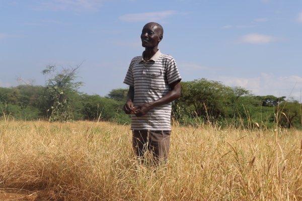 This simple farming technique can capture carbon for thousands of years