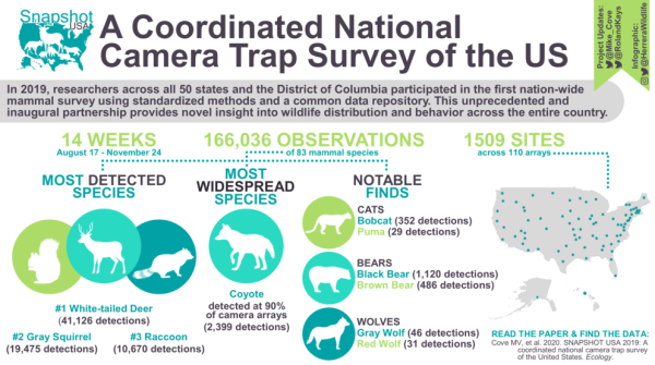 infographic of most common species from national survey