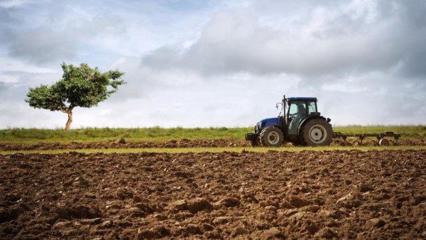 Soil tillage reduces availability of ‘longevity vitamin’ ergothioneine in crops | Penn State University