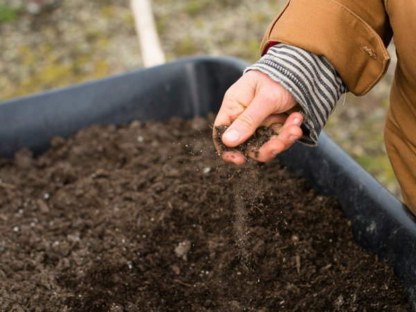 woman's hand dropping soil into a wheelbarrow full of soil