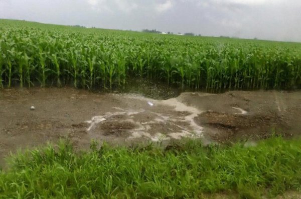 American soil losing more nutrients for crops due to heavier rainstorms, study shows