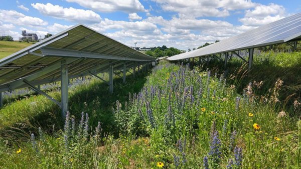 Solar farms with stormwater controls mitigate runoff, erosion, study finds | Penn State University