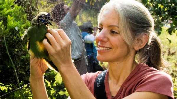 'Strategic Conservation in an Uncertain World': Ornithologist to speak March 16 | Penn State University