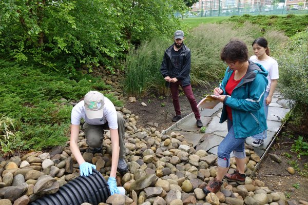 Strategic plan seed grant supports green stormwater infrastructure research | Penn State University
