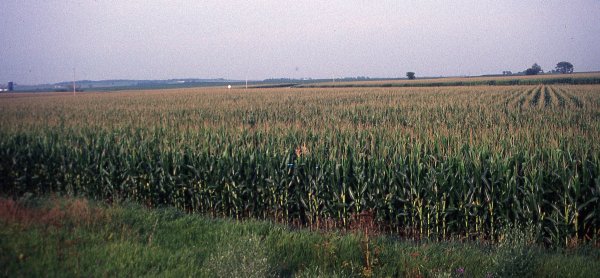 Study explores how climate change may affect rain in U.S. Corn Belt | Penn State University