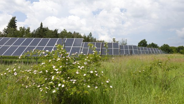 There's a right and a wrong way to build a solar farm
