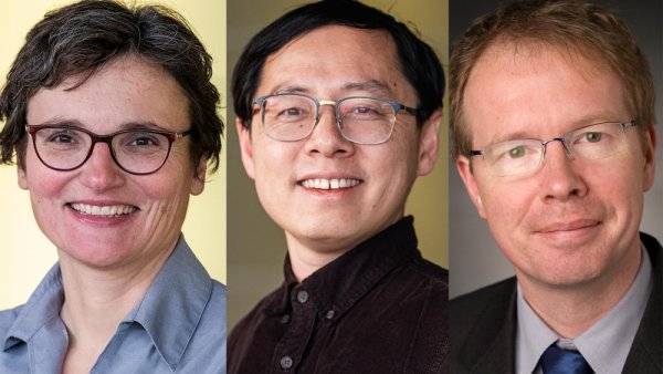 Three Penn State faculty members elected as American Physical Society fellows | Penn State University