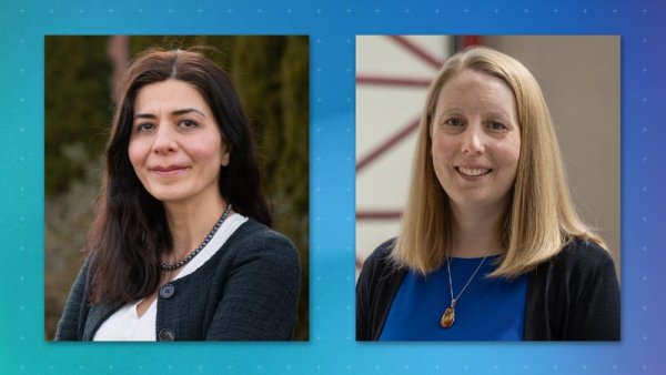 Two engineering faculty members named fellows of STEM leadership program | Penn State University