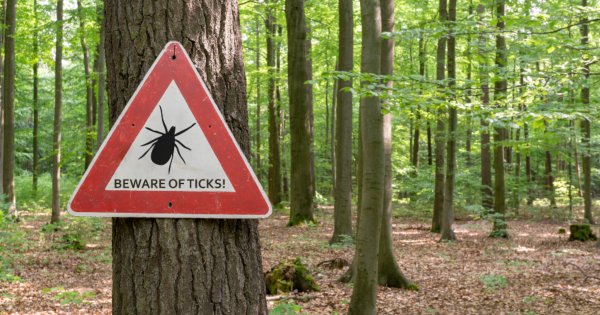 The Ultimate Guide to Surviving Tick Season in Pennsylvania