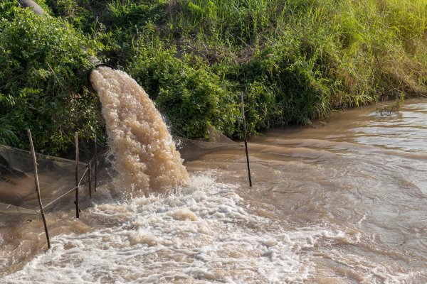 Urban stormwater study finds little difference between managed, unmanaged flows | Penn State University