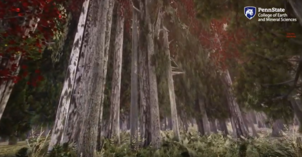 images of tree trunks in the VR forest