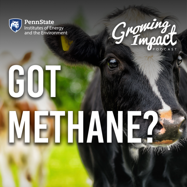 Growing Impact Got Methane?