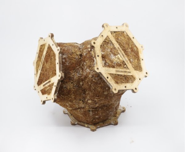 A form molding mycelium into a usable block.