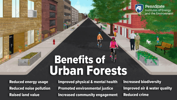 Benefits of Urban Forests: Reduced energy usage, Reduced noise pollution, Raised land value, Improved physical & mental health, Promoted environmental justice, Increased community engagement, Increased biodiversity, Improved air & water quality, Reduced crime
