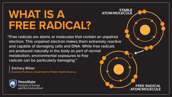 What is a free radical? “Free radicals are atoms or molecules that contain an unpaired electron. This unpaired electron makes them extremely reactive and capable of damaging cells and DNA. While free radicals are produced naturally in the body as part of normal metabolism, environmental exposures to free radicals can be particularly damaging.” Zachary Bitzer, Assistant Professor, Department of Public Health Sciences, Stable Atom/Molecule, Free Radical Atom/Molecule