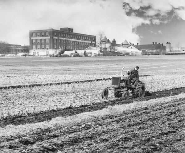 A man plows a field at the Jordan Soil Fertility Plots in the 1950's.
