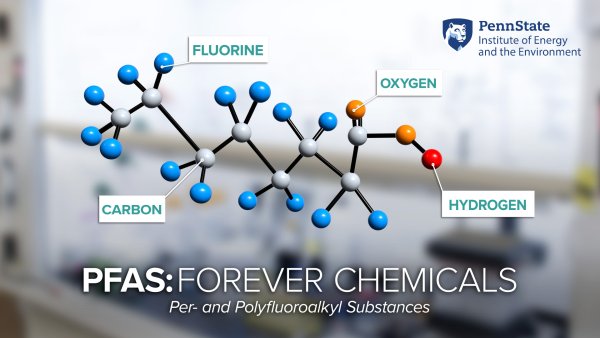 A diagram of a PFAS molecule composed of fluorine, oxygen, carbon, and hydrogen. PFAS are known as "forever chemicals" and the acronym stands for "per- and polyfluoroalkyl substances.".