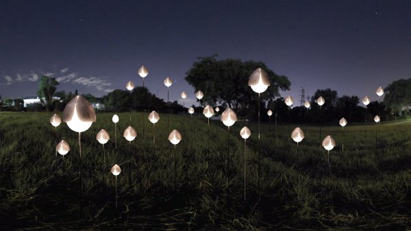 Lighted objects float over a grassy field at night