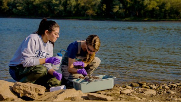 Students conduct water research field experiments at a lake
