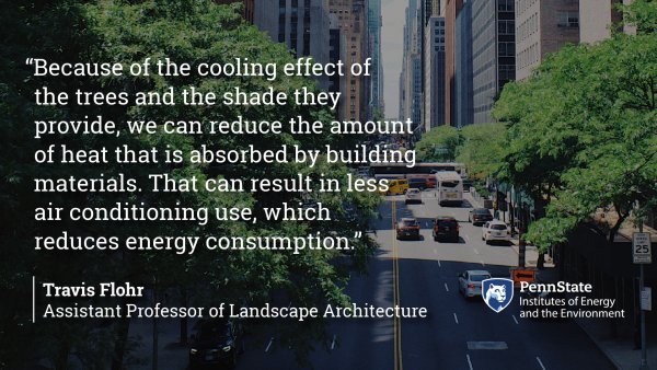 Because of the cooling effect of the trees and the shade they provide, we can reduce the amount of heat that is absorbed by building materials. That can result in less air conditioning use, which reduces energy consumption. Travis Flohr, Assistant Professor of Landscape Architecture
