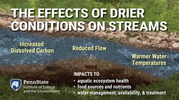 The effects of drier conditions on streams: Increased dissolved carbon, reduced flow, and warmer water temperatures. This impacts aquatic ecosystem health; food sources and nutrients; and water management, availability, and treatment. Penn State Institute of Energy and the Environment