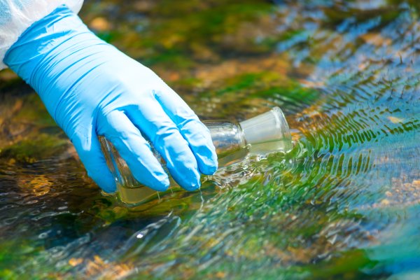 A gloved hand takes samples from a stream