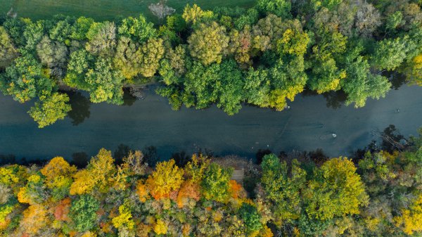 Aerial view of a stream flowing through a forest