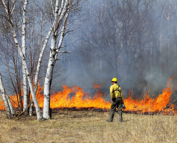 A man standing near flames in a prescribed burn
