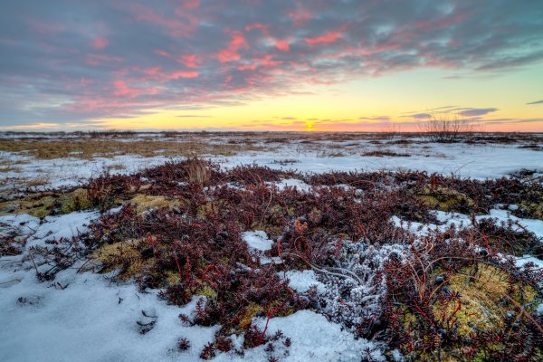 Sunset over arctic tundra