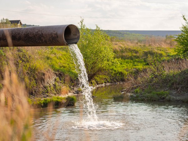 pipe discharging wastewater into nature