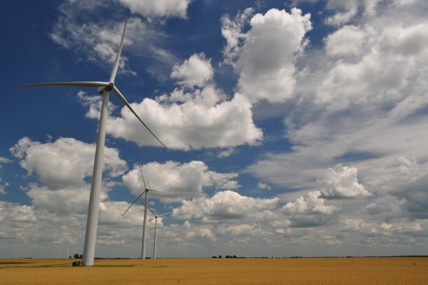 wind turbines standing in a field