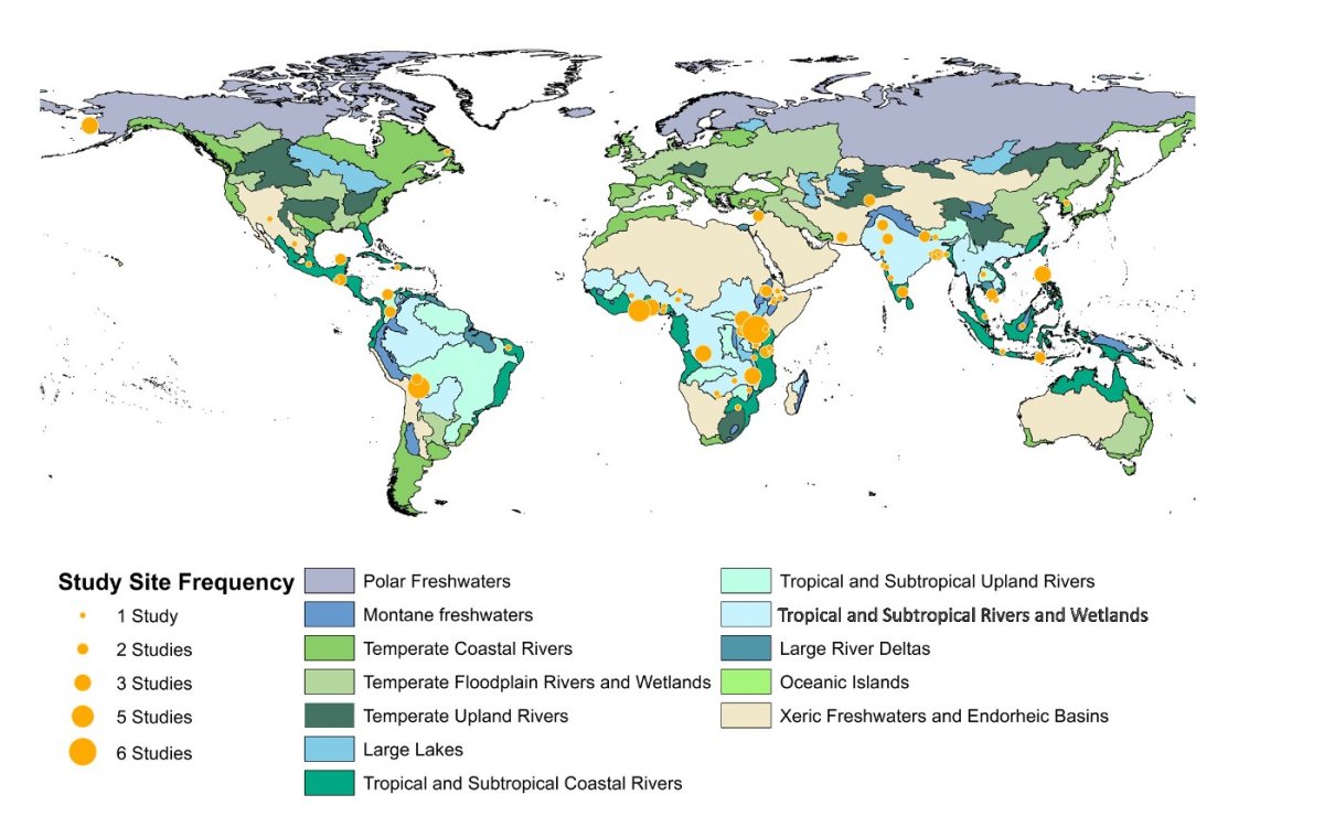 Geographic distribution and freshwater ecosystem habitat classification of study sites (n=126) across 67 studies, assessing the effects of environmental seasonality on HWI. In some places, multiple studies were conducted in the same location, and this is denoted by differing sizes of orange circles