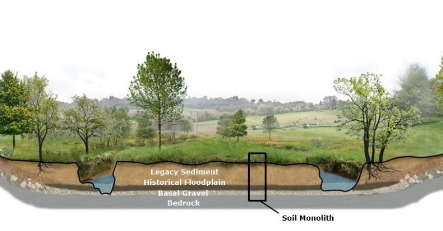 an illustration showing a floodplain before restoration and where soil monoliths are dug